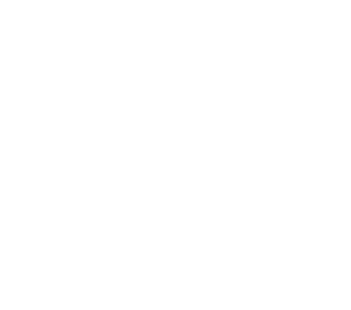 villagepeddler logo white